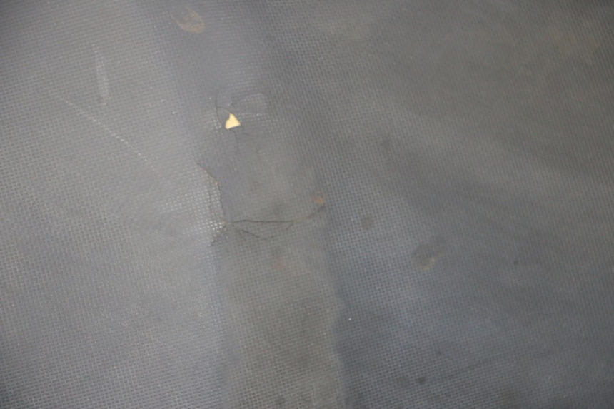 photo de SELLE DAELIM S1 125 (2007 - 2016) - Autre angle de vue