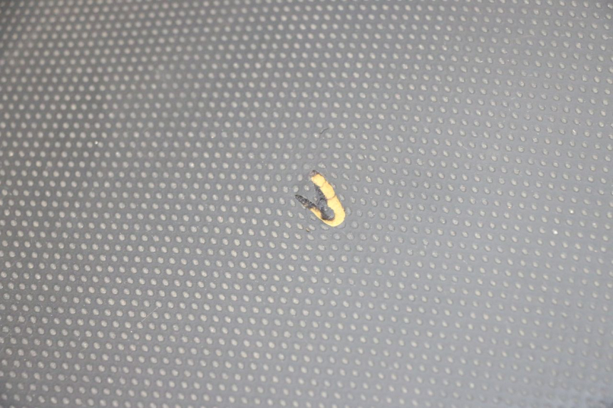 photo de SELLE YAMAHA XMAX X-MAX 125 (2006 - 2009) - Inspection visuelle