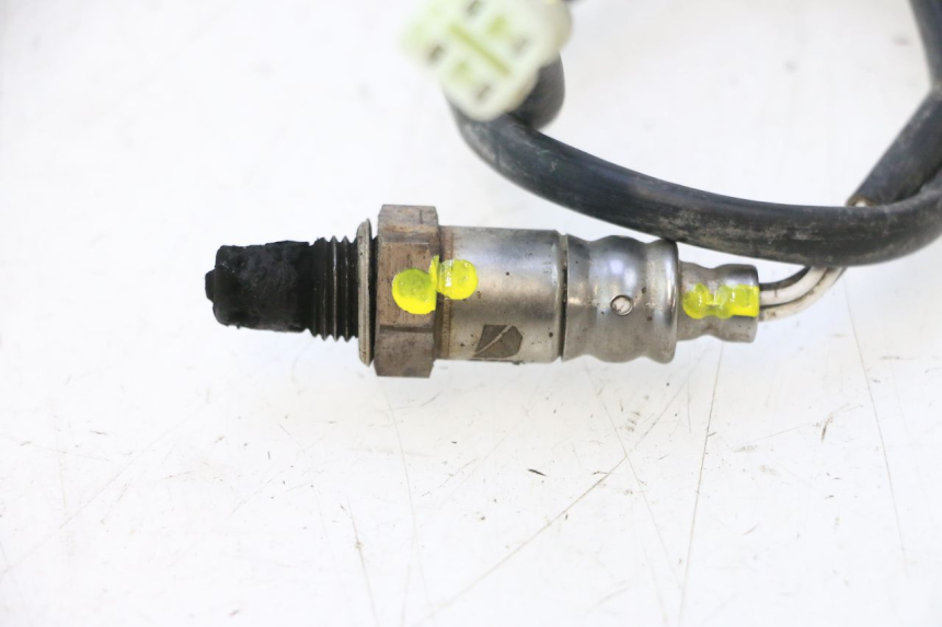 photo de SONDE LAMBDA MASH DIRT TRACK 50 (2018 - 2020) - Gros plan technique