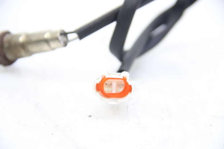 photo de SONDE LAMBDA JM MOTORS GT LINE 4T 50 (2021 - 2023)