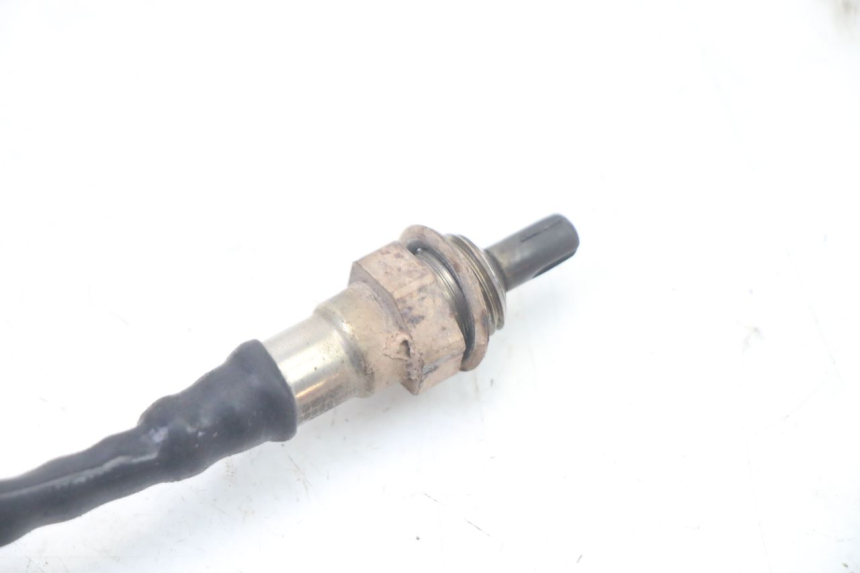 photo de SONDE LAMBDA JM MOTORS OLDIES GT 4T 50 (2018 - 2025)