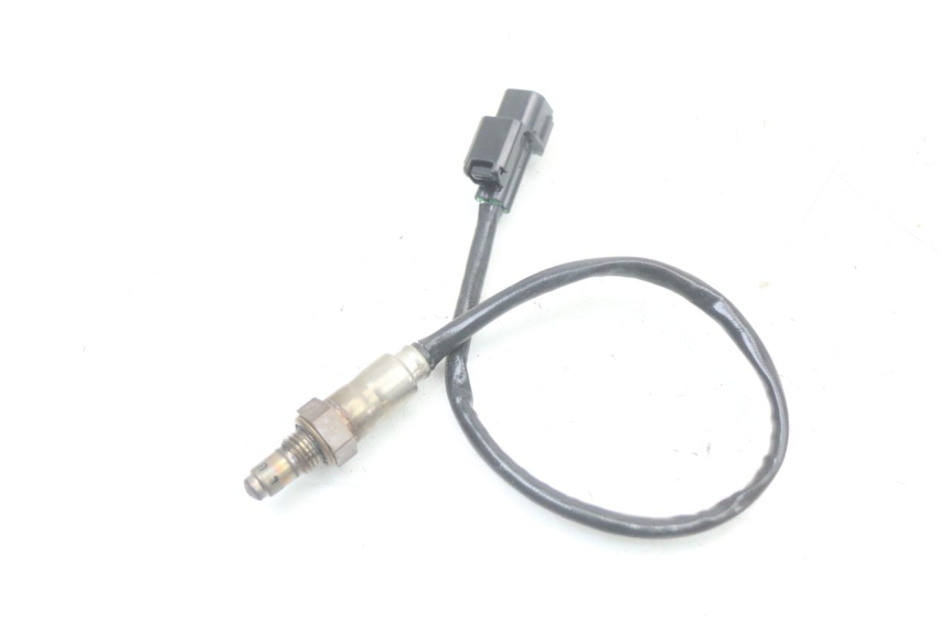 photo de SONDE LAMBDA ROYAL ENFIELD SCRAM 411 (2022 - 2024)