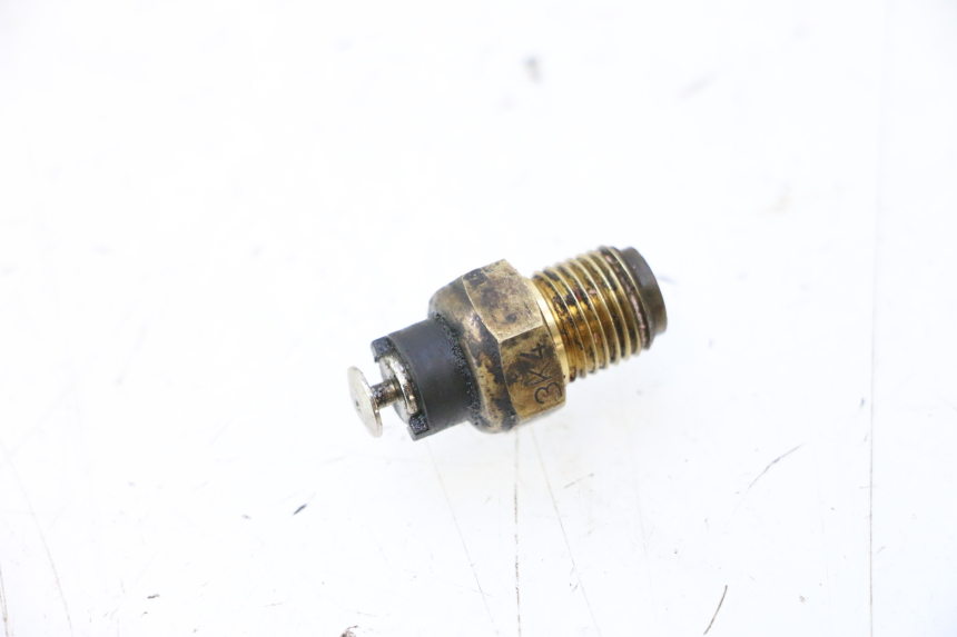 photo de SONDE DUCATI SS IE DS CARENEE 1000 (2002 - 2006) - Vue principale