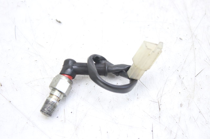 photo de SONDE TEMPERATURE D'EAU DERBI GPR 50 (2004 - 2009)