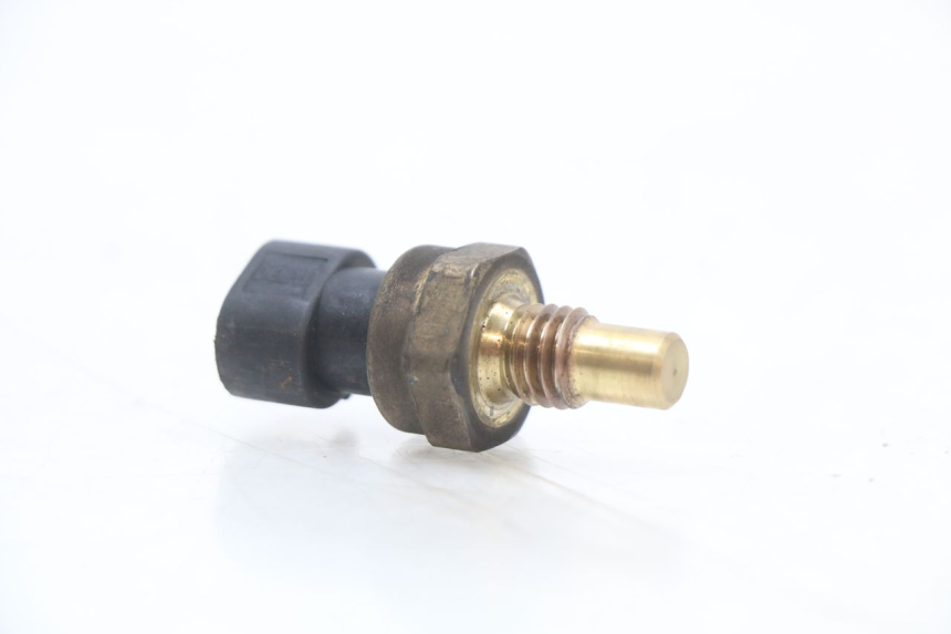 photo de SONDE TEMPERATURE D'EAU LONGJIA EASY MAX 125 (2020 - 2024)