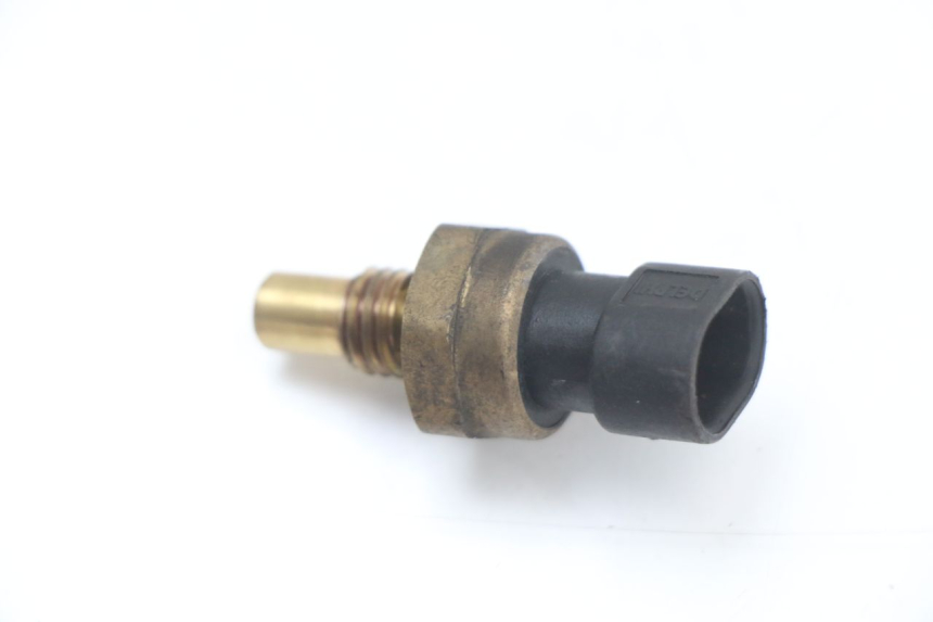 photo de SONDE TEMPERATURE D'EAU LONGJIA EASY MAX 125 (2020 - 2024)