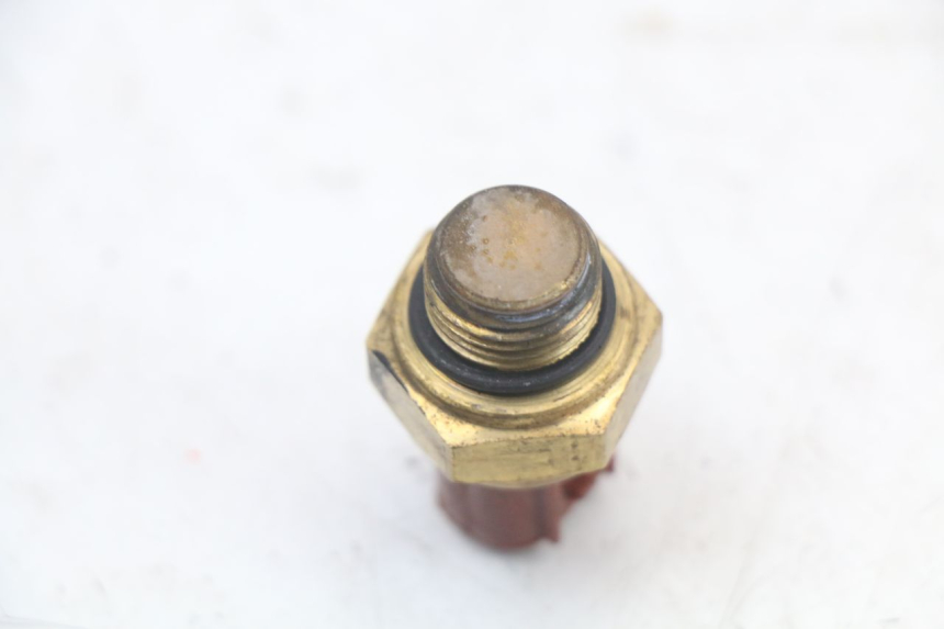 photo de SONDE TEMPERATURE D'EAU MASAI SCRAMBLER SPORT 125 (2021 - 2025)