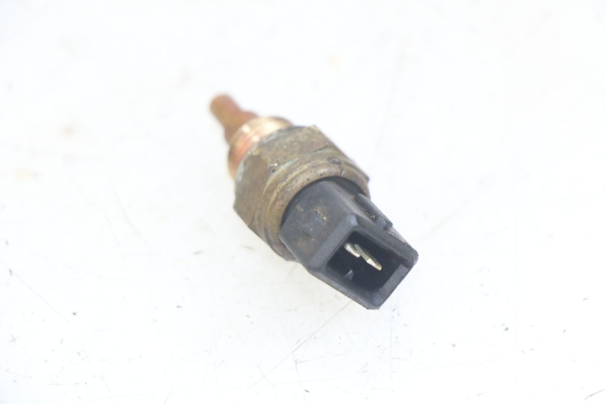 photo de SONDE TEMPERATURE D'EAU SHERCO SM-R 50 (2018 - 2021)