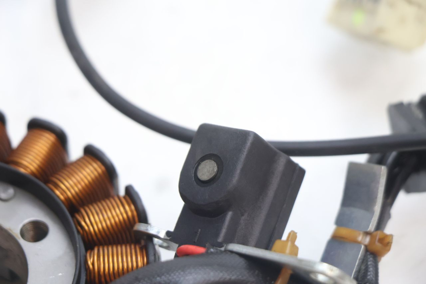 photo de STATOR PIAGGIO MP3 LT 300 (2010 - 2016) - Zoom état d’usage