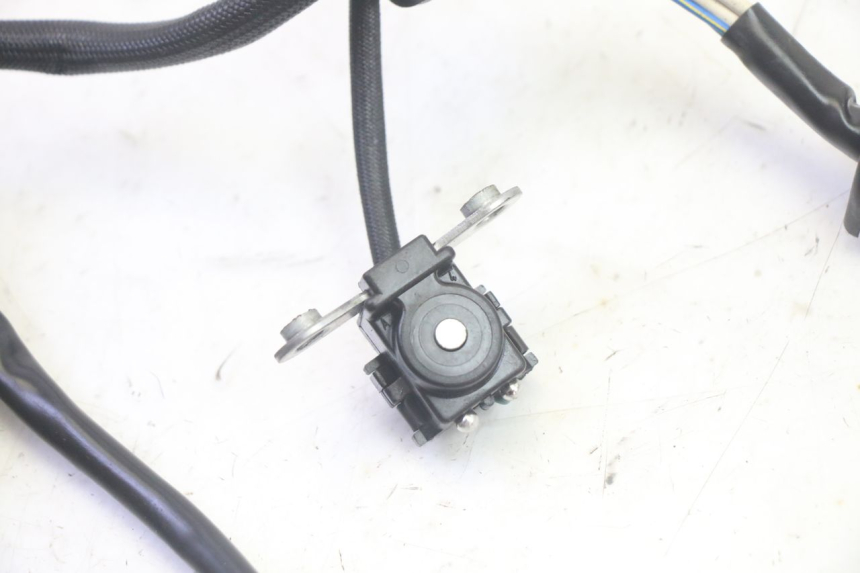 photo de STATOR YAMAHA TDM ABS 900 (2002 - 2014) - Gros plan technique