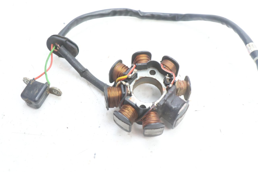 photo de STATOR HUSABERG TE 250 (2011 - 2014) - Vue d’ensemble