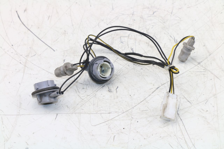 photo de SUPPORT AMPOULE PIAGGIO XEVO - X EVO 125 (2007 - 2017) - Vue principale