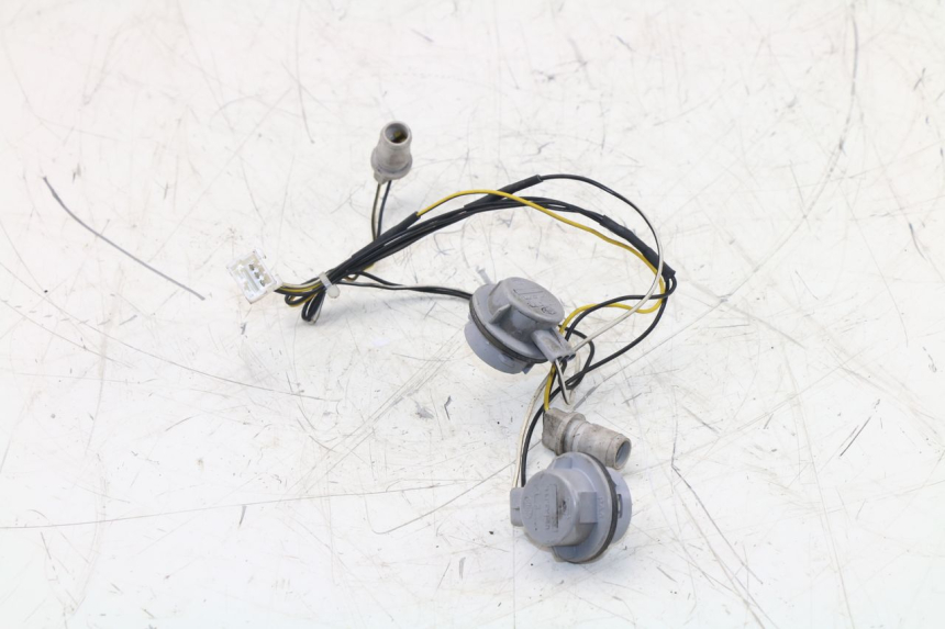 photo de SUPPORT AMPOULE PIAGGIO XEVO - X EVO 125 (2007 - 2017) - Détail de la pièce