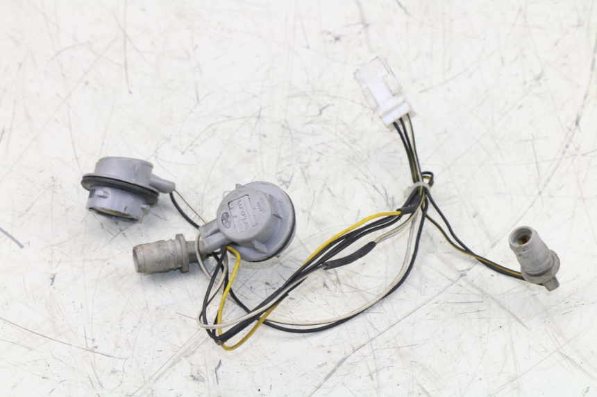 photo de SUPPORT AMPOULE PIAGGIO XEVO - X EVO 125 (2007 - 2017) - Autre angle de vue