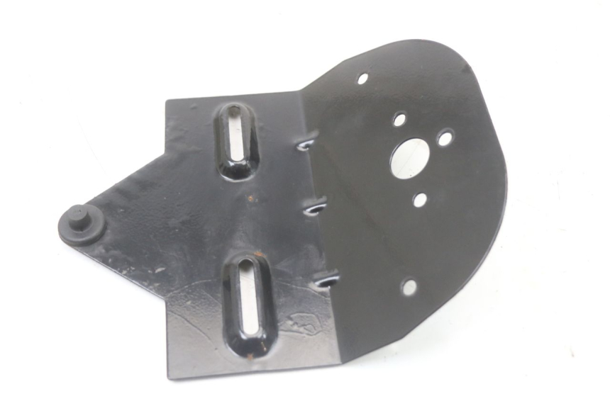 photo de SUPPORT DE PLAQUE REGAL RAPTOR RAXTER 2 125 (2007 - 2015)