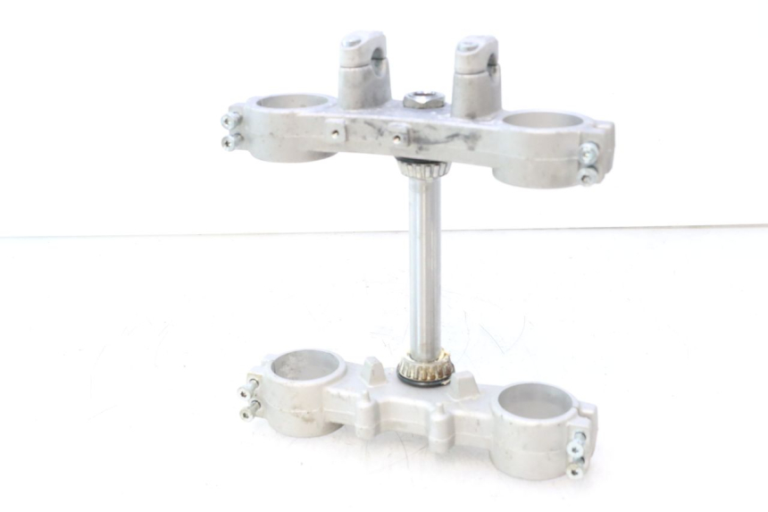 photo de TE FOURCHE RIEJU MRT PRO SUPERMOTARD 50 (2007 - 2018) - État de surface