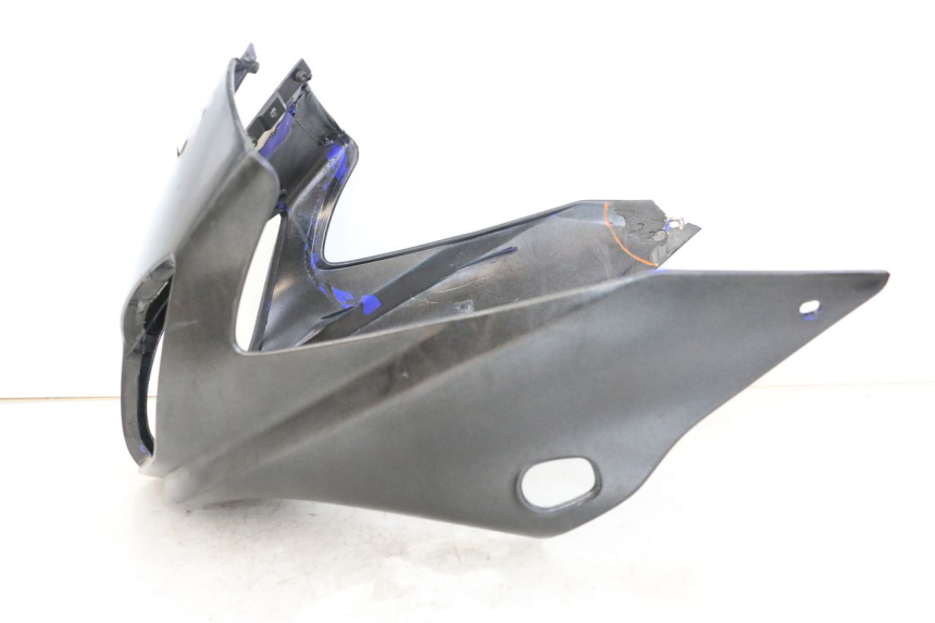 photo de TETE DE FOURCHE YAMAHA FZS FAZER 600 (2001 - 2003)