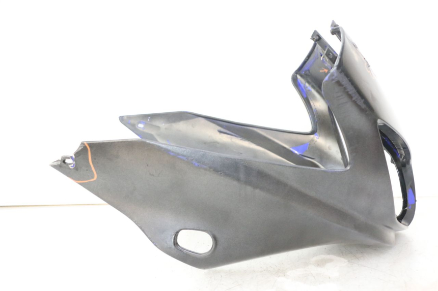 photo de TETE DE FOURCHE YAMAHA FZS FAZER 600 (2001 - 2003)