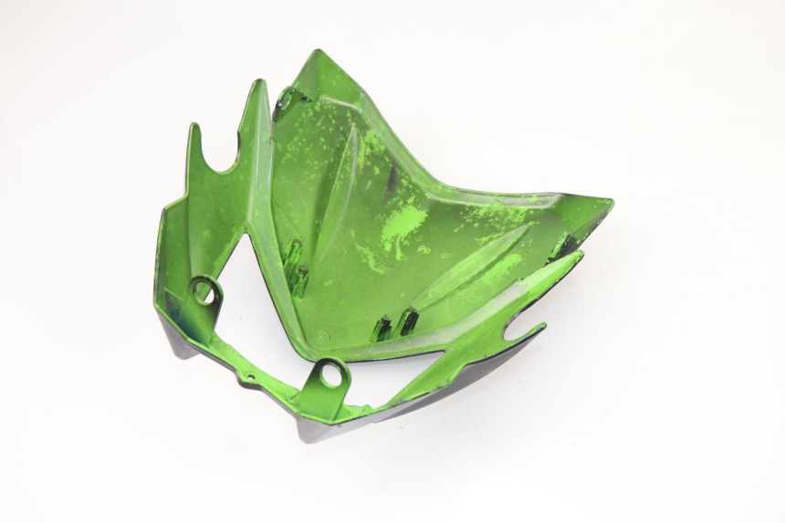 photo de TETE DE FOURCHE RIEJU SMX PRO 50 (2001 - 2009)