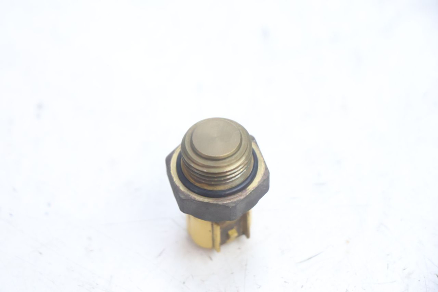 photo de THERMOCONTACT SUZUKI BURGMAN EXECUTIVE ABS 650 (2006 - 2012) - Autre angle de vue