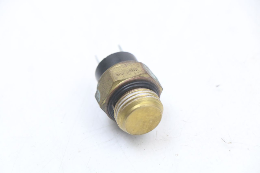 photo de THERMOCONTACT PEUGEOT GEOPOLIS RS 125 (2007 - 2009)