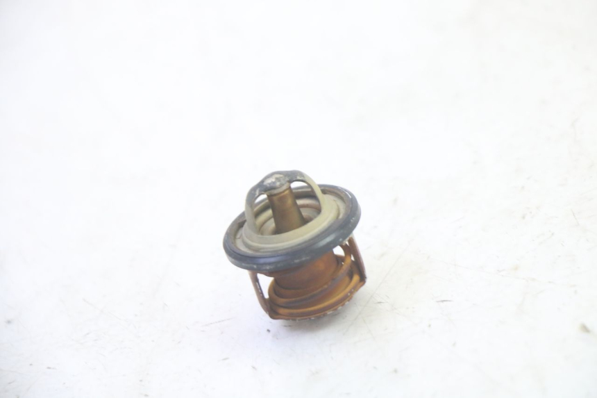 photo de THERMOSTAT PIAGGIO MP3 RL 250 (2007 - 2010) - Zoom état d’usage