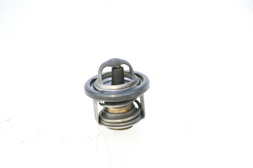 photo de THERMOSTAT PIAGGIO MP3 125 (2006 - 2014) - Vue principale
