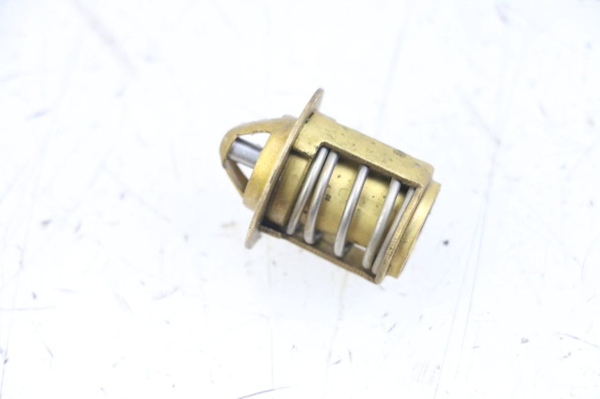 photo de THERMOSTAT RIEJU MRT 50 (2018 - 2021)