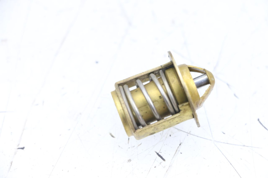 photo de THERMOSTAT RIEJU MRT 50 (2018 - 2021)