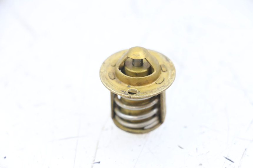 photo de THERMOSTAT RIEJU MRT 50 (2018 - 2021)