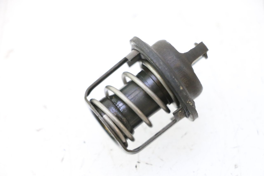 photo de THERMOSTAT PEUGEOT SATELIS 125 (2006 - 2009) - Vue principale