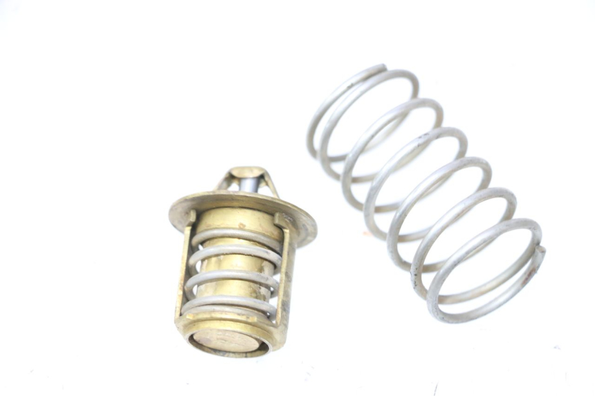 photo de THERMOSTAT PEUGEOT SPEEDFIGHT LC 50 (1996 - 2002) - Vue principale