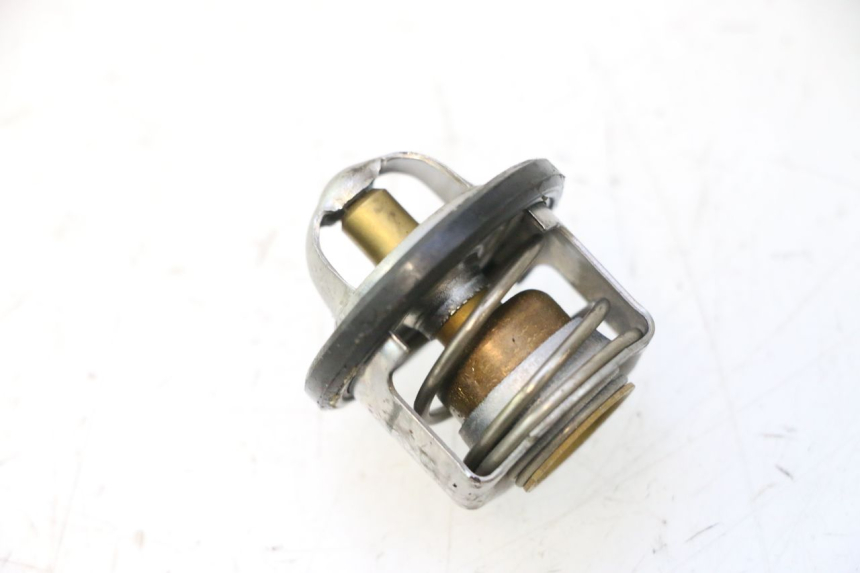 photo de THERMOSTAT PIAGGIO X9 EVOLUTION 125 (2003 - 2007) - Vue principale