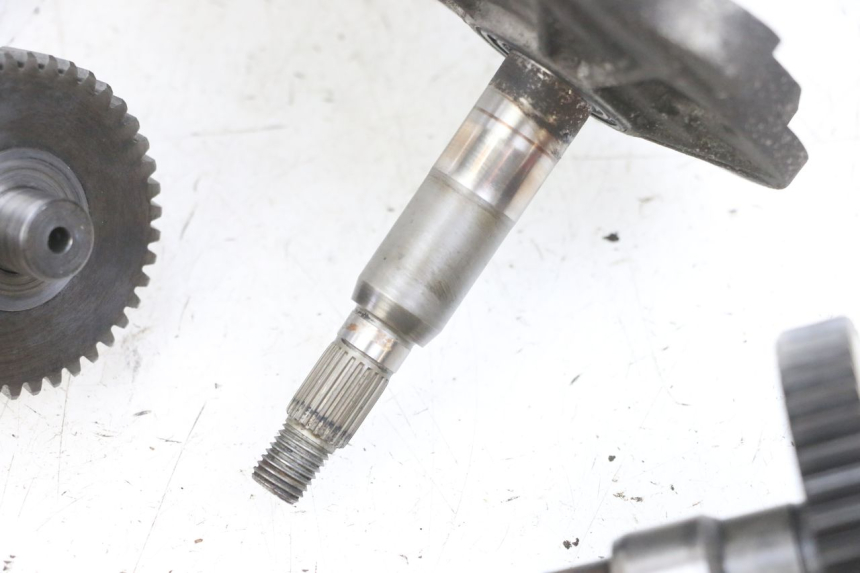 photo de TRANSMISSION ROUE PEUGEOT LUDIX 50 (2008 - 2017) - Gros plan technique