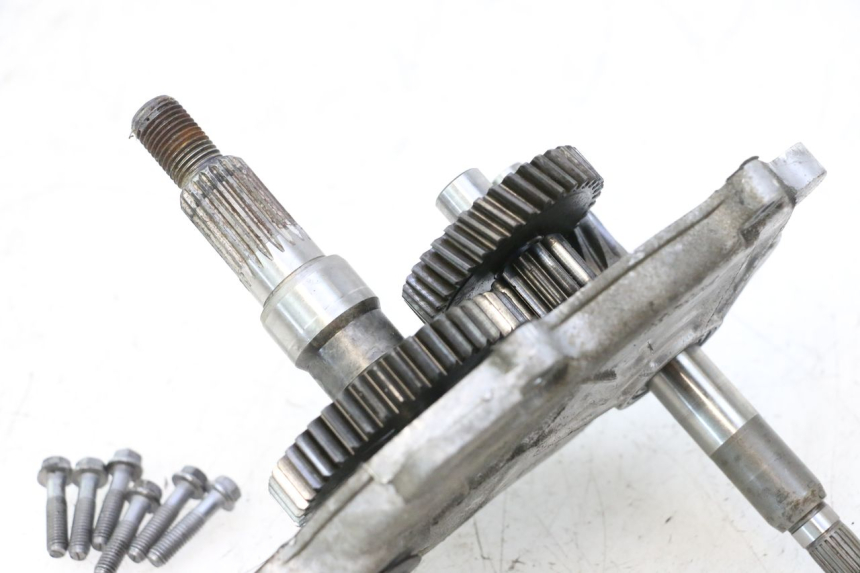 photo de TRANSMISSION ROUE  PEUGEOT LUDIX ONE 50 (2004 - 2013) - Gros plan technique