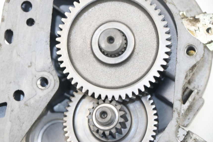 photo de TRANSMISSION ROUE  SAMPO LY50QT-21 50 (2009 - 2014)