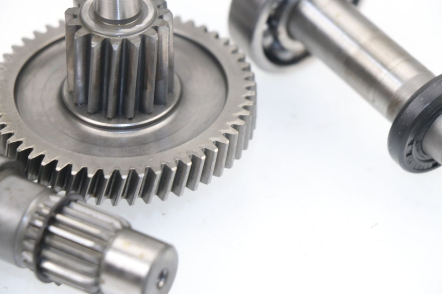 photo de TRANSMISSION ROUE  SAMPO LY50QT-21 50 (2009 - 2014)