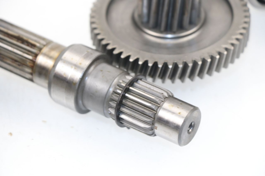 photo de TRANSMISSION ROUE  SAMPO LY50QT-21 50 (2009 - 2014)