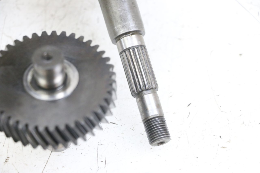 photo de TRANSMISSION ROUE PEUGEOT SATELIS 125 (2006 - 2009) - État de surface