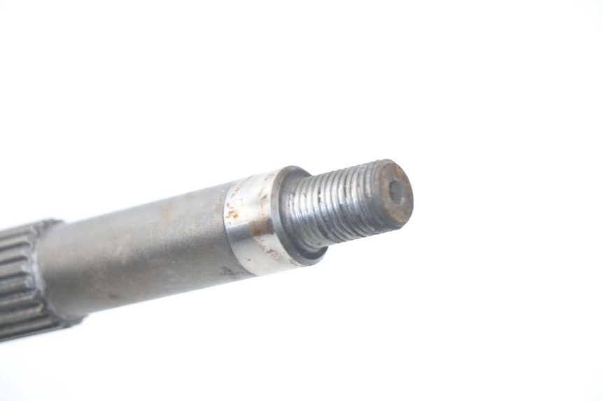 photo de TRANSMISSION ROUE  APRILIA SCARABEO GT 125 (1999 - 2007)