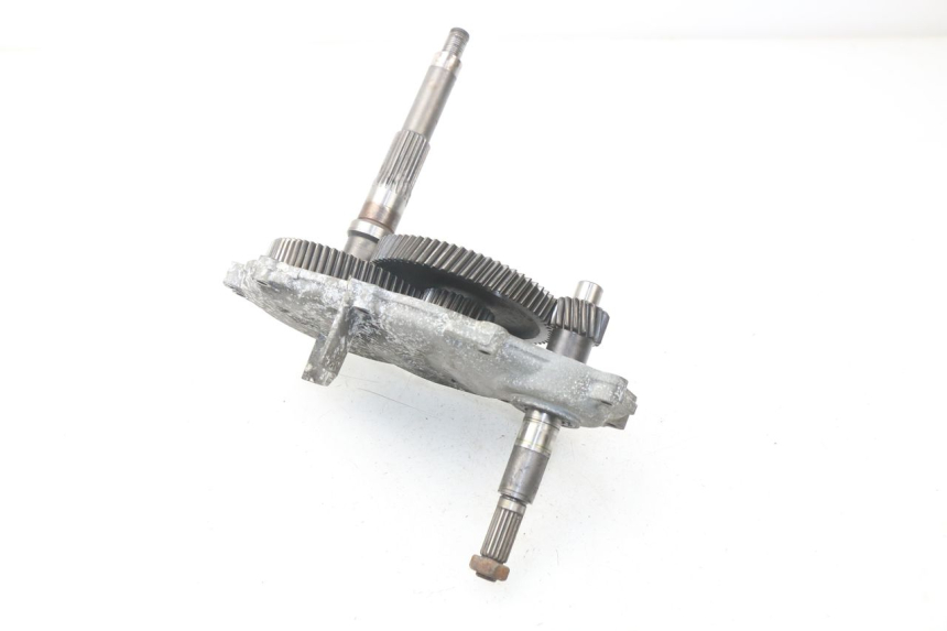 photo de TRANSMISSION ROUE  APRILIA SCARABEO GT 125 (1999 - 2007)
