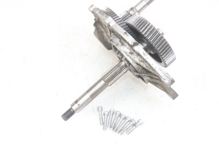 photo de TRANSMISSION ROUE APRILIA SCARABEO LIGHT 125 (2007 - 2011)