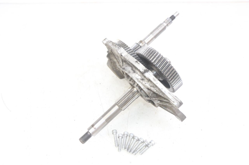 photo de TRANSMISSION ROUE APRILIA SCARABEO LIGHT 125 (2007 - 2011)