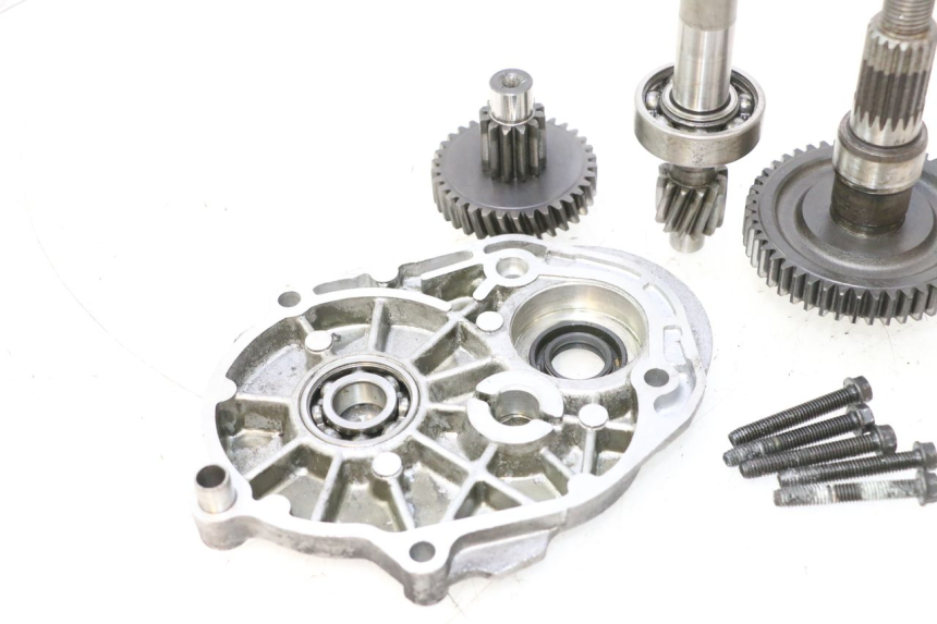 photo de TRANSMISSION ROUE PEUGEOT SPEEDFIGHT LC 50 (1996 - 2002) - Gros plan technique