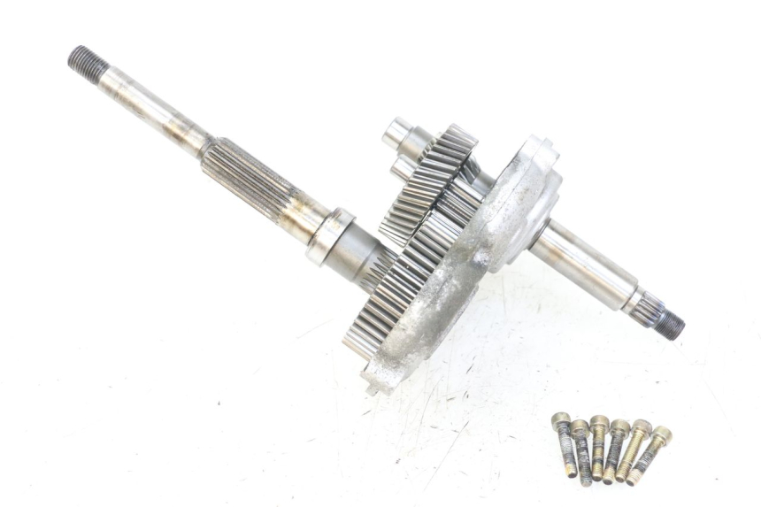 photo de TRANSMISSION ROUE  YAMAHA YP MAJESTY 125 (2007 - 2010)