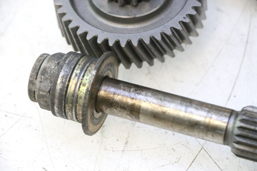 photo de TRANSMISSION ROUE YAMAHA YP MAJESTY 125 (2002 - 2006) - Aperçu profil
