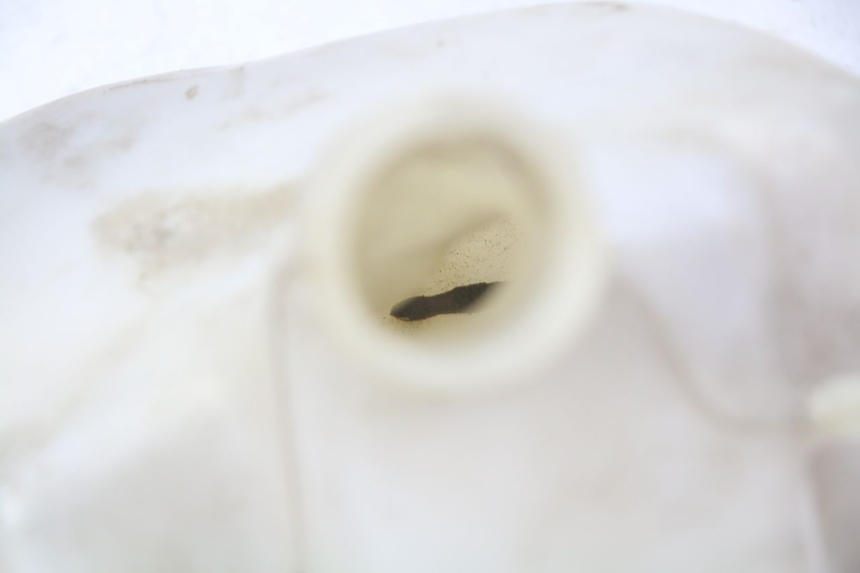 photo de VASE EXPANSION GILERA NEXUS 125 (2009 - 2013)