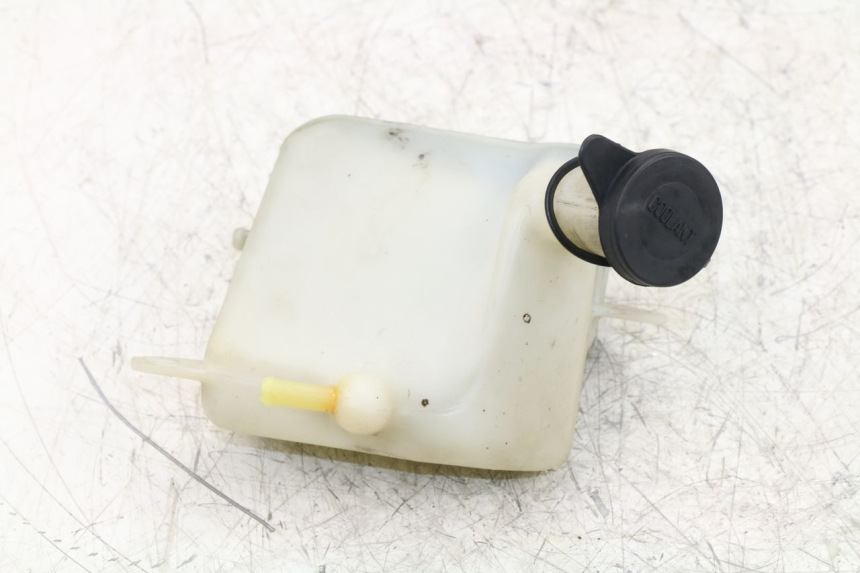 photo de VASE EXPANSION HONDA NTV REVERSE 650 (1993 - 1994)