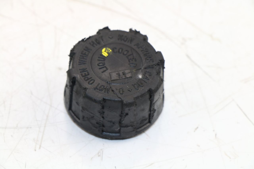 photo de VASE EXPANSION PIAGGIO MP3 500 (2011 - 2015)