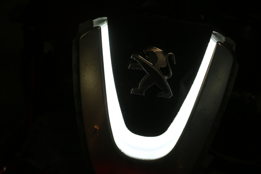 photo de VEILLEUSE PEUGEOT DJANGO 4T 50 (2014 - 2019) - État de surface